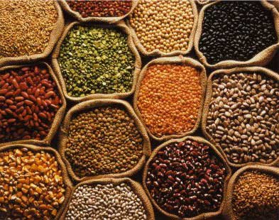 Organic Pulses